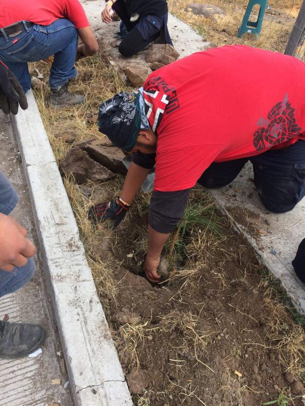 SERVICIO INTEGRAL ODAMOOT 2017