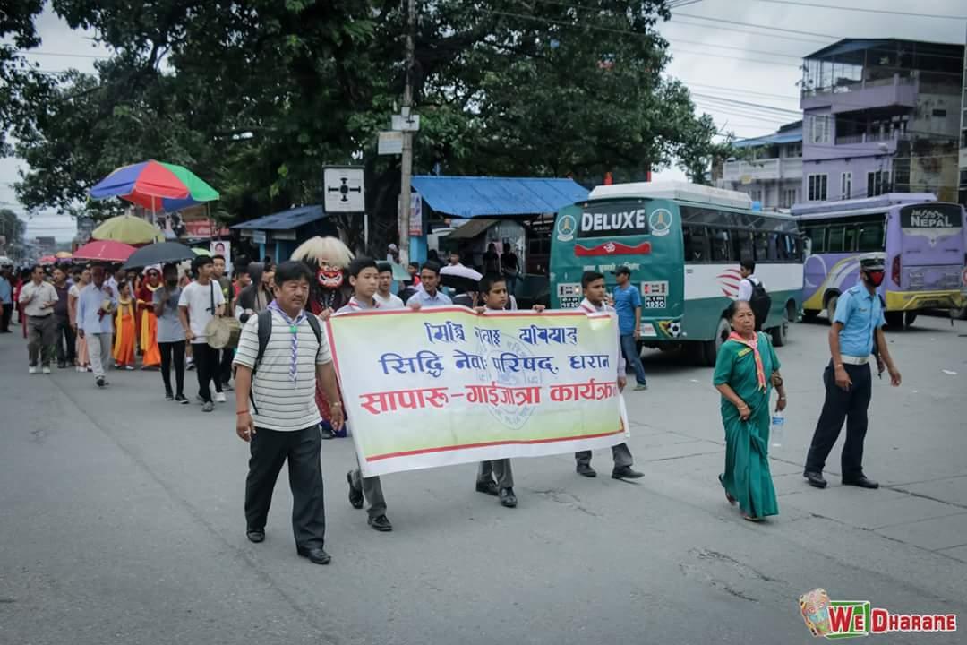 Gaijatra volunteering