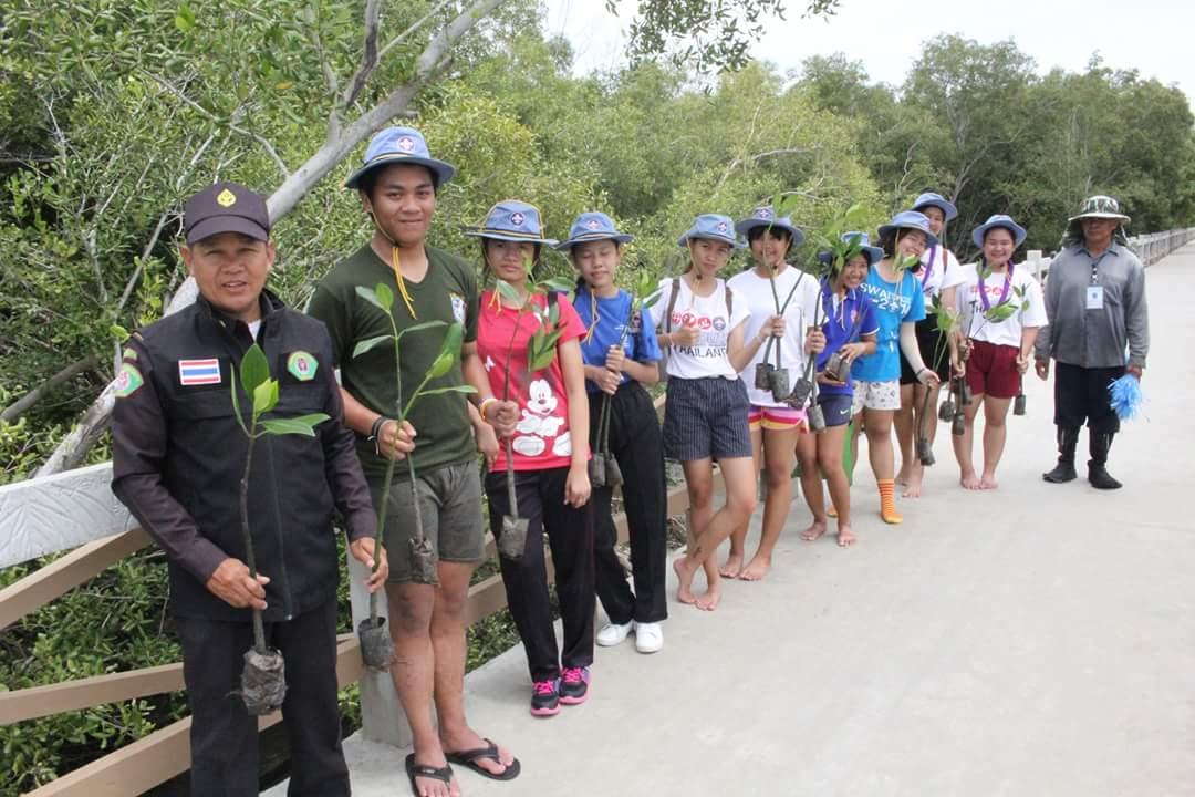 โครงการลูกเสือรักษ์โลก Scouts Save The World กิจกรรมปลูกป่าชายเลน