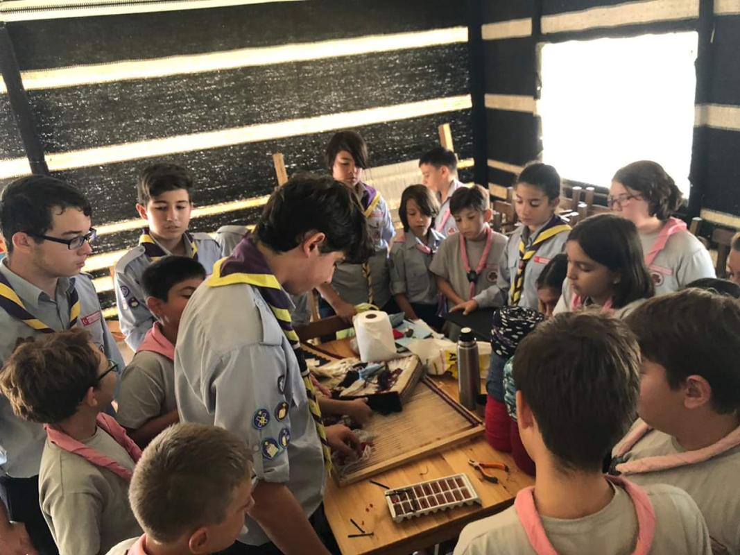 "WOBBLE BOTS - VINEGAR BATTERY - STATIC ELECTRIC - LAB" CHALLENGE