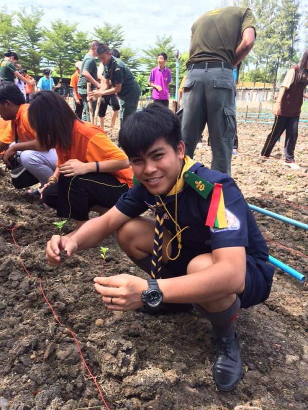 ปลูกดอกดาวเรือง