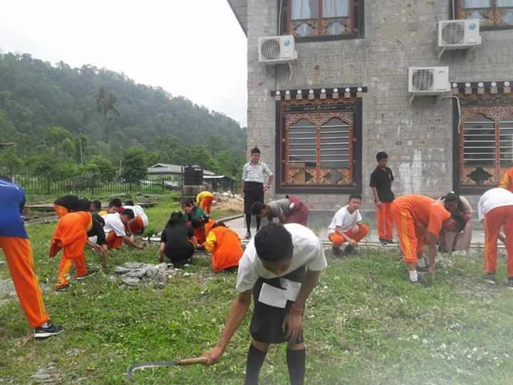 Cleaning campaign 