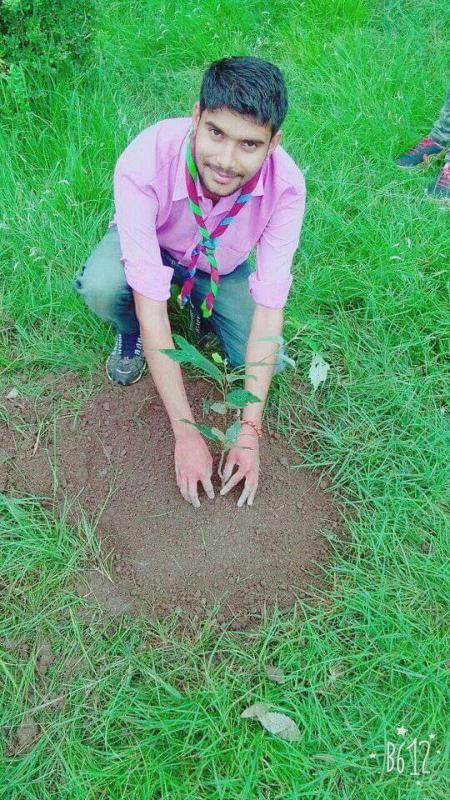 Plantation at village Damrog solan 