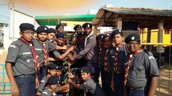 save tress.. save rain program 
