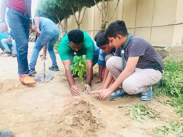 Plantation on Independence Day
