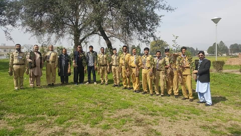 Tree Plantation Campaign