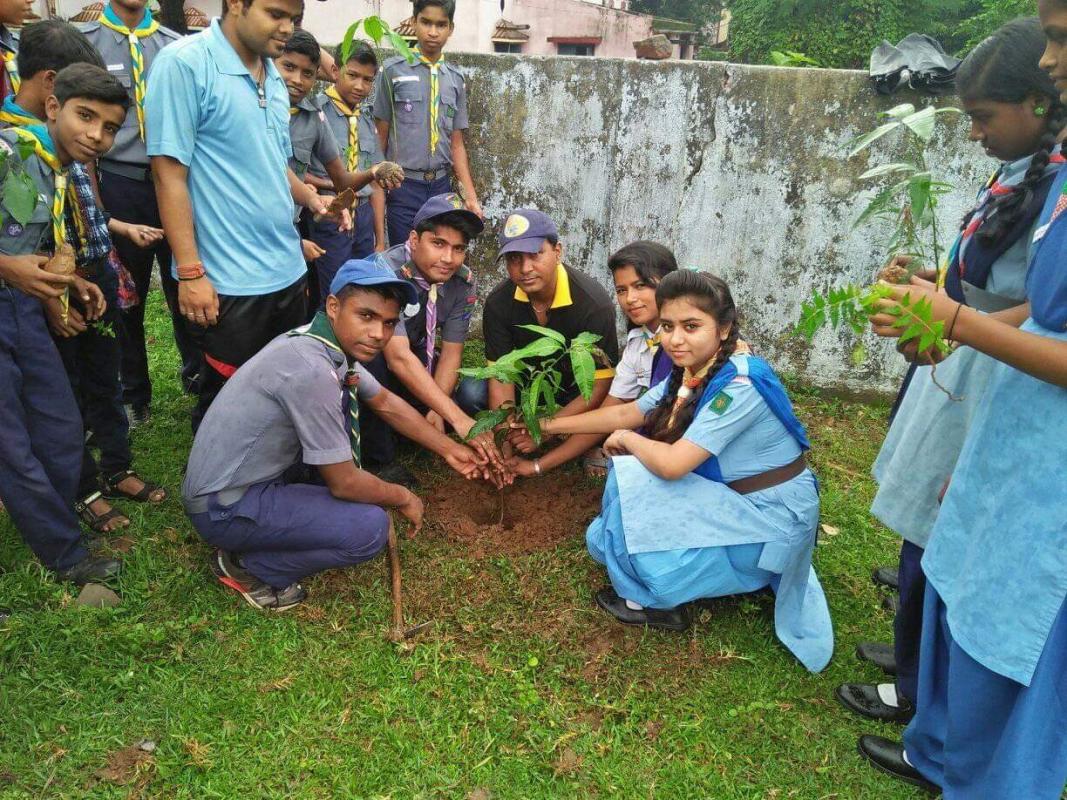 ADOPTS A TREE AND PLANTING LIFE! GREEN CAMPAIGN @ Gomoh