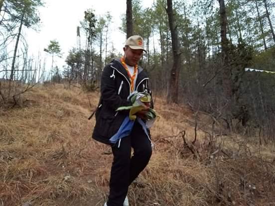 Scouting for religion