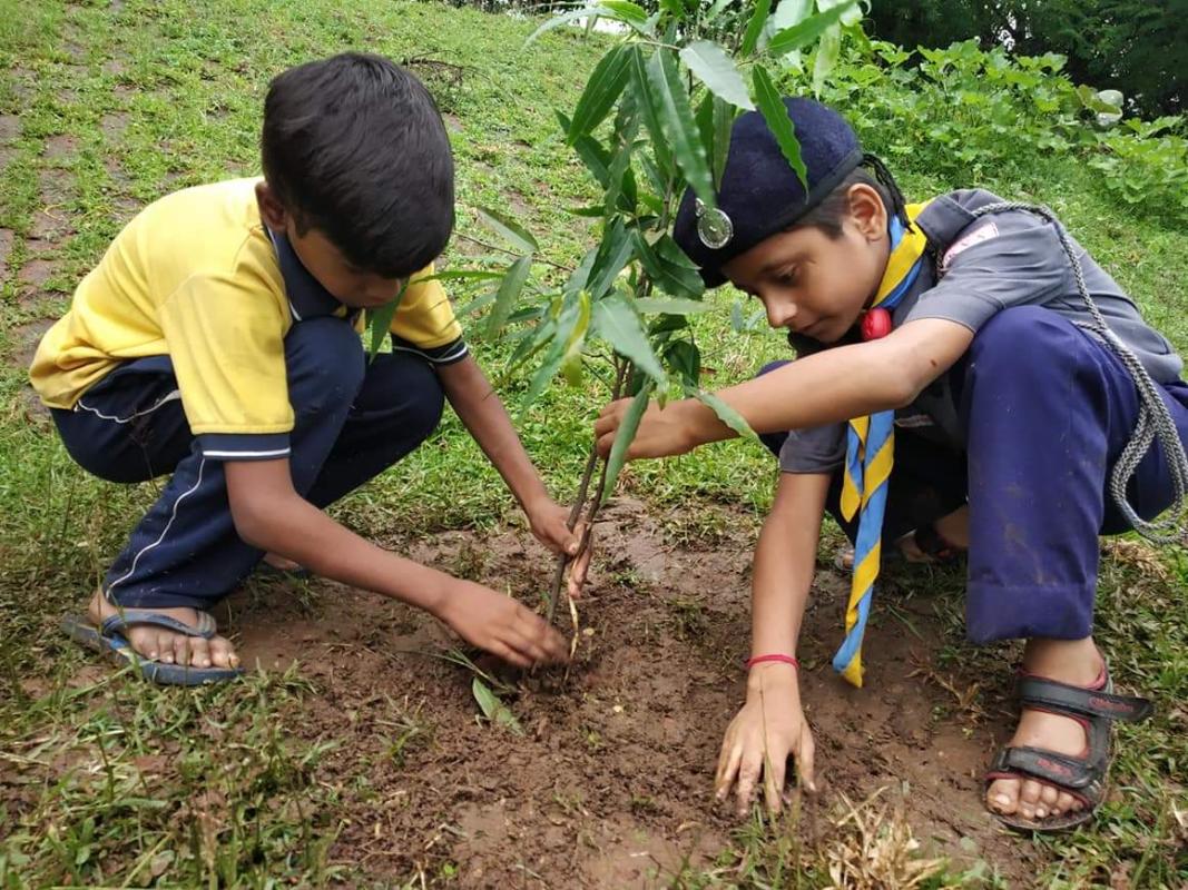 ADOPTS A TREE AND PLANTING LIFE! GREEN CAMPAIGN 