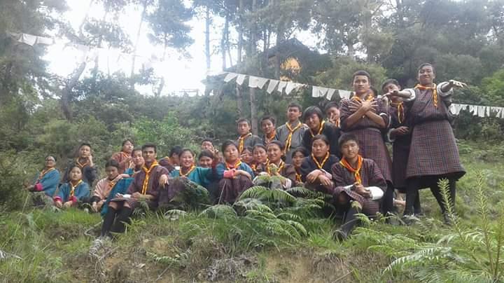 Tree Plantation