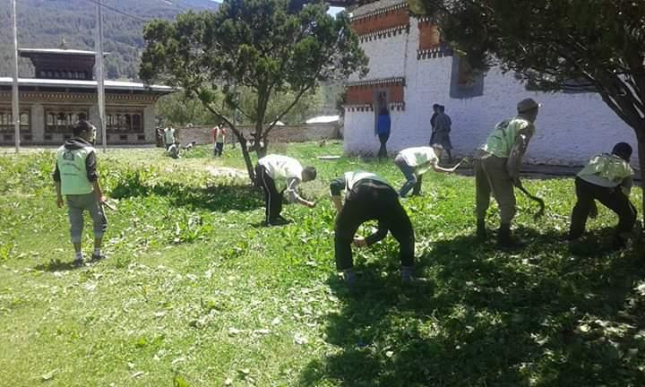 Cleaning campaign 