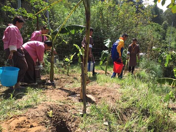 Planting for green future