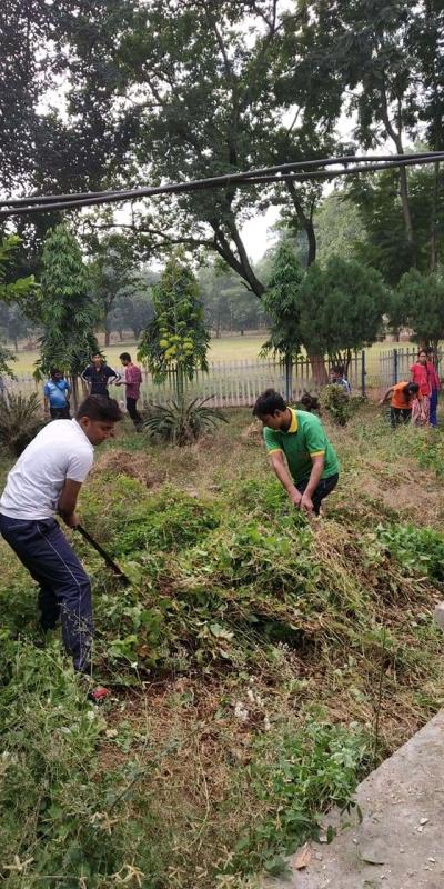 Cleanliness programme @ STP MADHUPUR