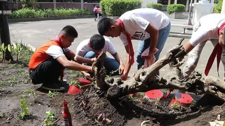 DAY 4 Scouts of the World Award Entry Project