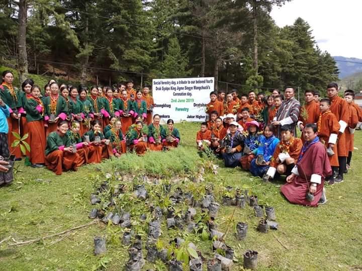 Social Forestry day 