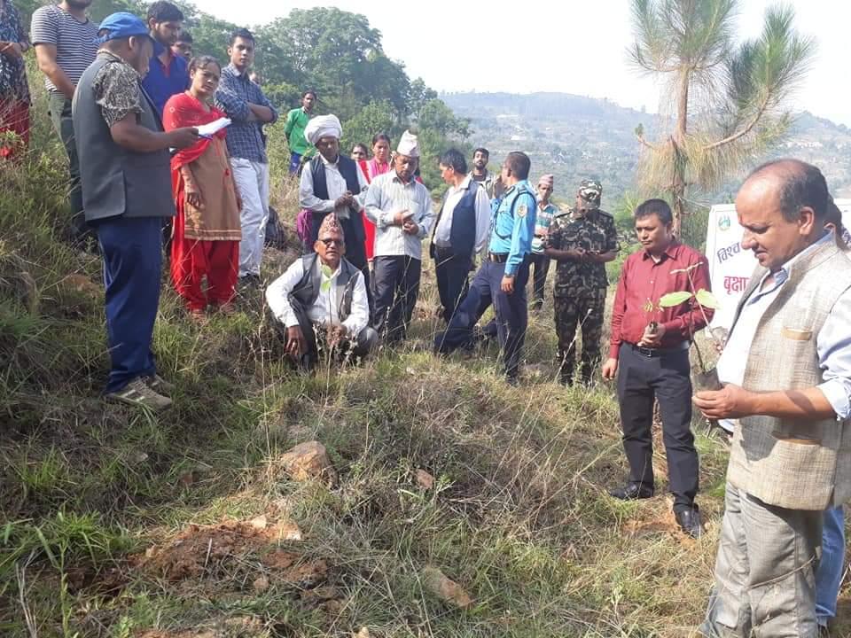 Plantation