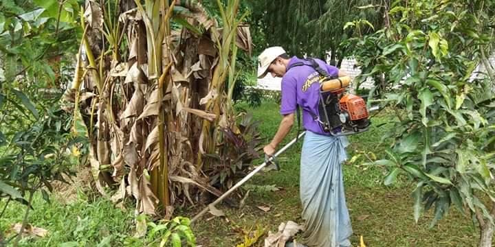 Cutting of grass in the school compound 