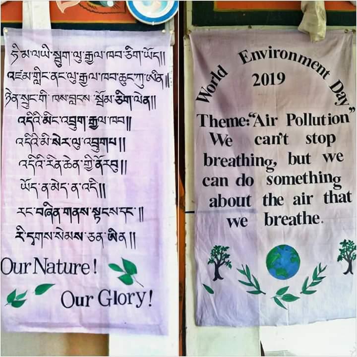 world environment day