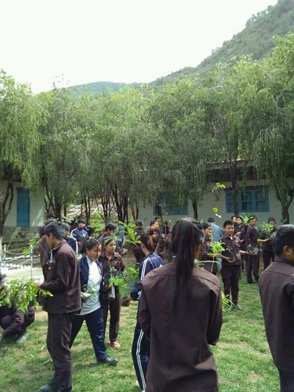To obserb social forestry day on 2nd june.