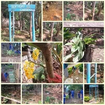 love flora challenge