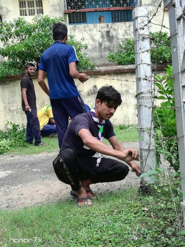 Proration area for new tree