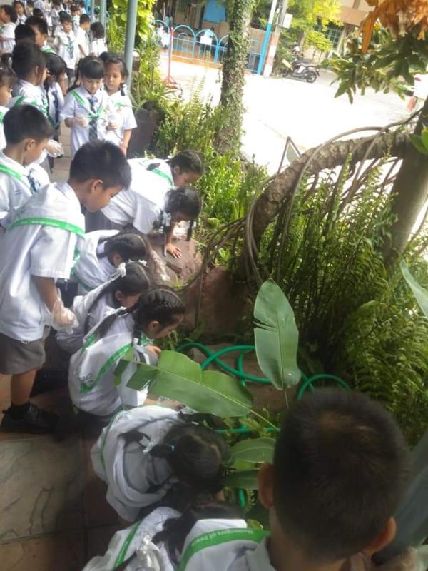 กำจัดขยะ