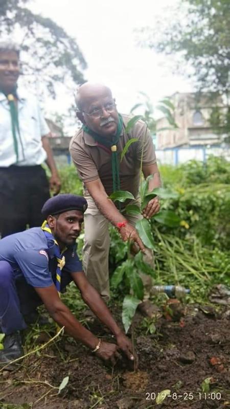 TREE PLANTATION 