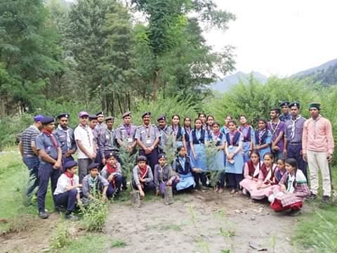 Tree Plantation Drive in 17 Mile Kullu