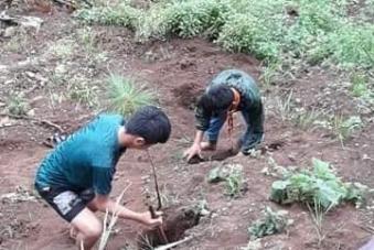 forest day celebration