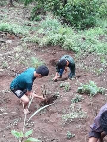 forest day celebration