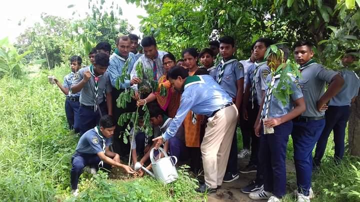 Tree Plantion 