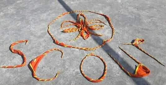 "Practical Session for Senoir scouts"