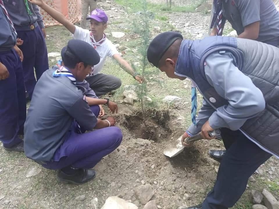 Tree Plantation Programme.