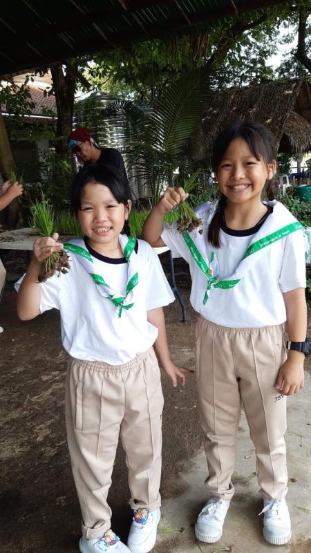 เรียนรู้การปลูกข้าวนาโยน