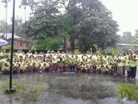 plantation 