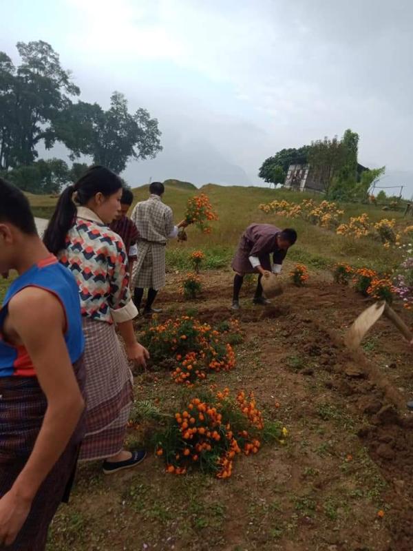 Development of Botanical Scout Den.