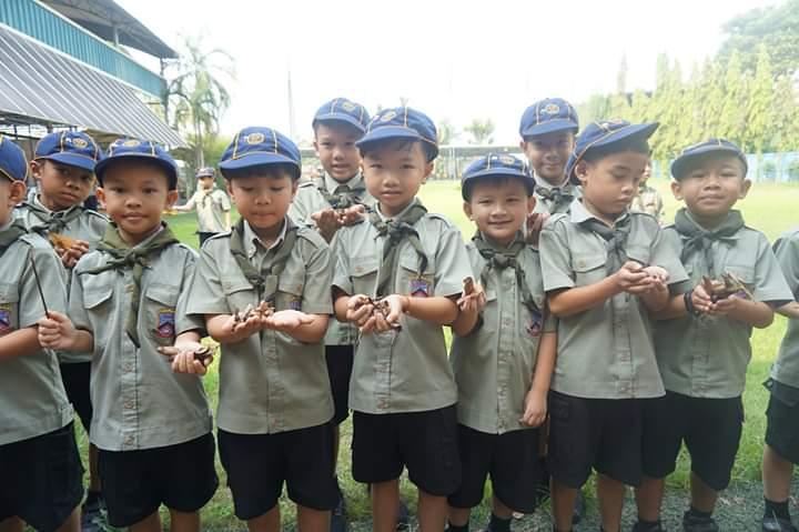 โรงเรียนสะอาดด้วยมือหนู