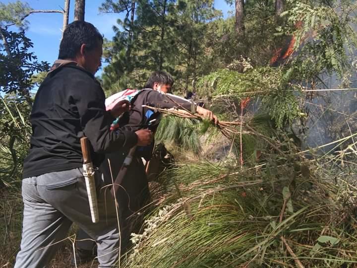 Battling the Forest Fire at Relangthang