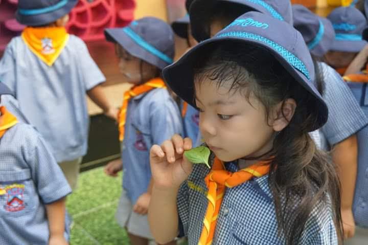 กิจกรรมเข้าค่ายลูกเสือบีเวอร์