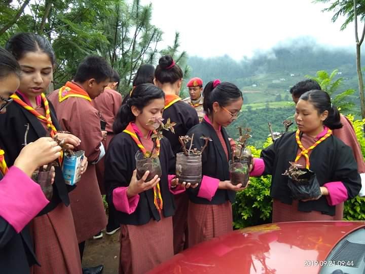 Spreading of Peace through plantation 