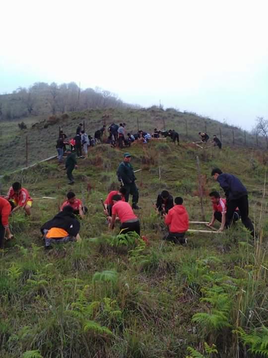 planting trees at takali 