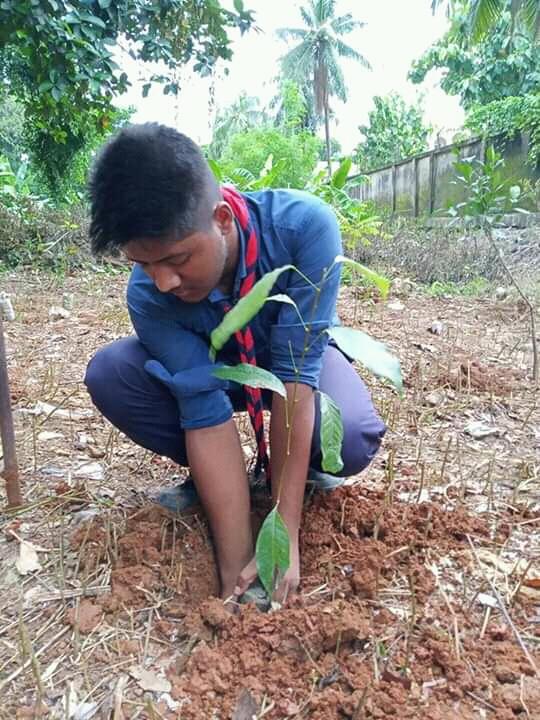 বাঙলা কলেজ ক্যাম্পাসে বৃক্ষরোপণ কর্মসূচি 
