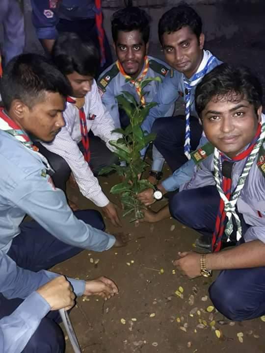 জেলা রোভারের বৃক্ষরোপণ কর্মসূচি