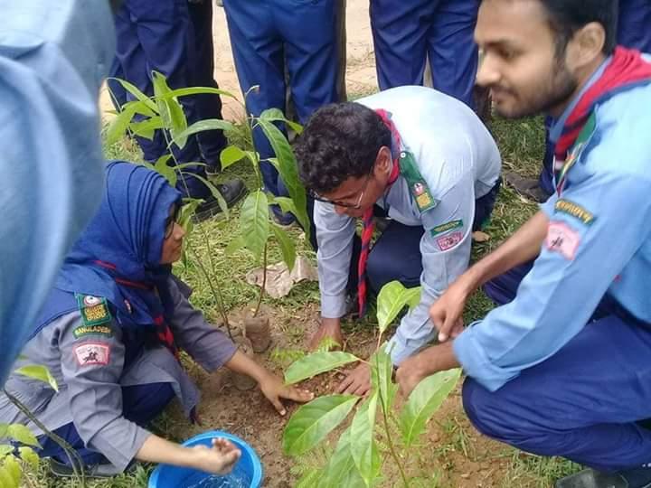 বৃক্ষরোপণ 