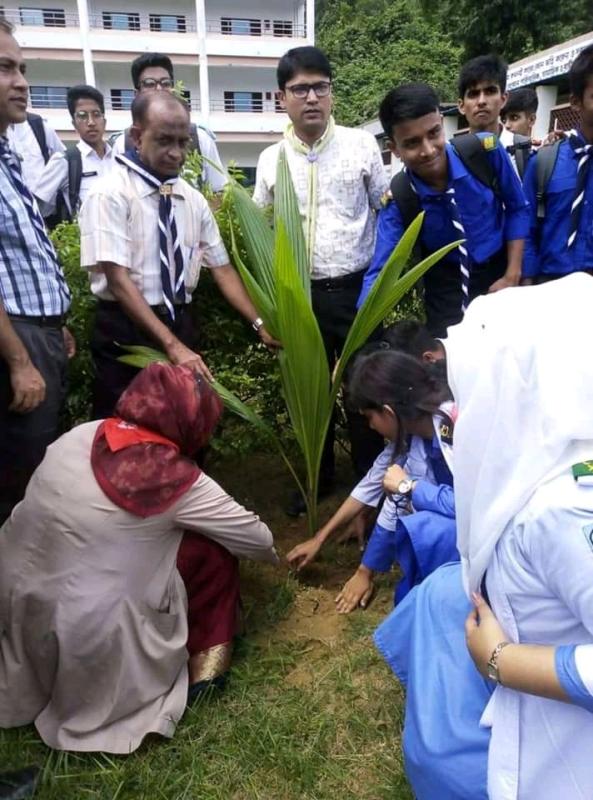 Tree Plant
