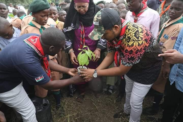 Tree planting