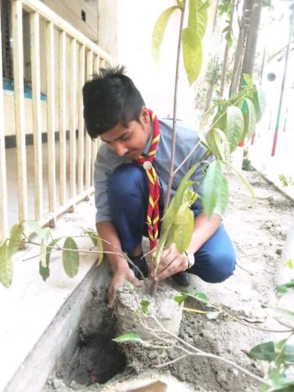 মুজিব শতবর্ষ উপলক্ষে বৃক্ষরোপণ কর্মসূচি 