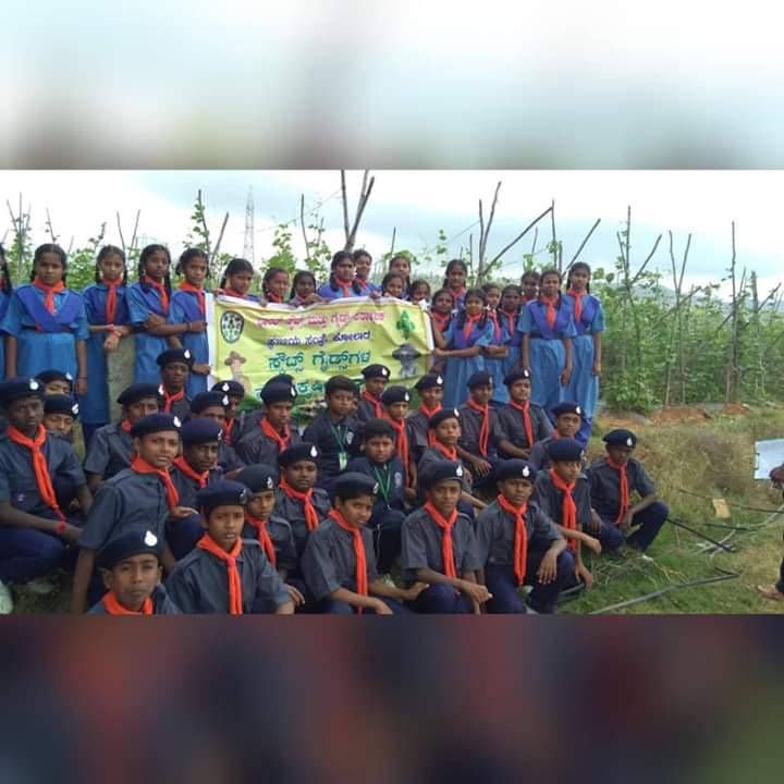 scouts and guides go to agriculture 