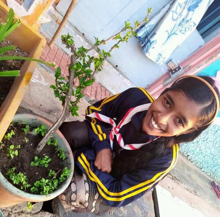 "GO ORGANIC" :[(B) Environment and Sustainability] : Project Sankalp : Challenge (4): Bharat Scouts and Guides District Association Udupi. Karnataka State, India.