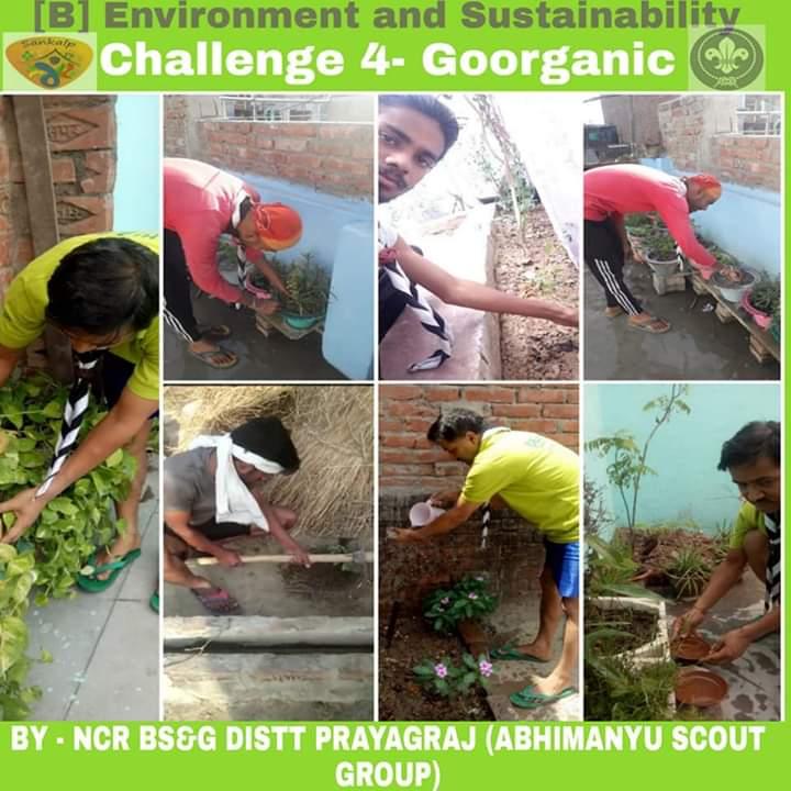 PROJECT SANKALP [ B ] Environment & Sustainability
Challenge 4 : #Goorganic
